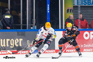 Löwen Frankfurt - Fishtown Pinguins - 26.2.25 - 052