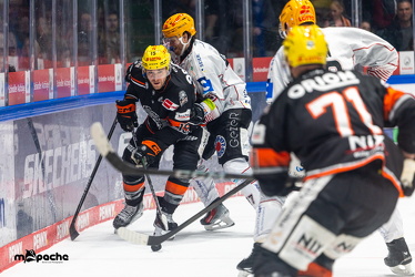 Löwen Frankfurt - Fishtown Pinguins - 26.2.25 - 053