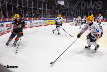 Löwen Frankfurt - Fishtown Pinguins - 26.2.25 - 057
