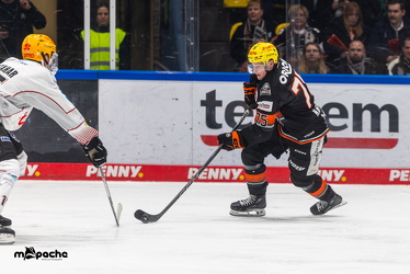 Löwen Frankfurt - Fishtown Pinguins - 26.2.25 - 066