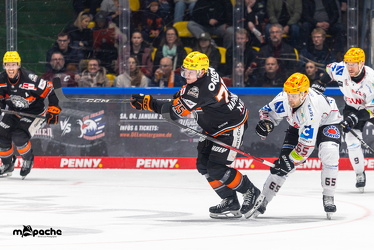 Löwen Frankfurt - Fishtown Pinguins - 26.2.25 - 069