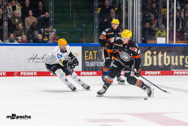 Löwen Frankfurt - Fishtown Pinguins - 26.2.25 - 070