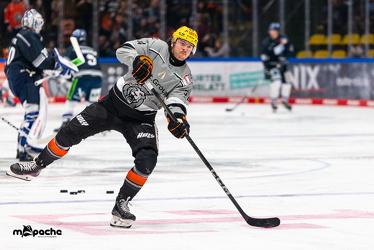 PP2 - Löwen Frankfurt - Straubing Tigers - 11.3.25 - 004