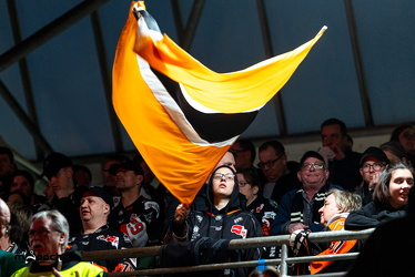 PP2 - Löwen Frankfurt - Straubing Tigers - 11.3.25 - 011