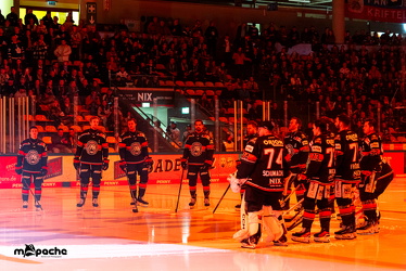 PP2 - Löwen Frankfurt - Straubing Tigers - 11.3.25 - 022