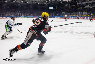 PP2 - Löwen Frankfurt - Straubing Tigers - 11.3.25 - 027