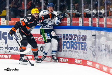 PP2 - Löwen Frankfurt - Straubing Tigers - 11.3.25 - 031