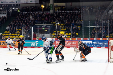 PP2 - Löwen Frankfurt - Straubing Tigers - 11.3.25 - 033