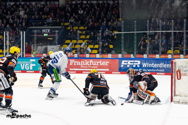 PP2 - Löwen Frankfurt - Straubing Tigers - 11.3.25 - 034