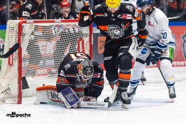 PP2 - Löwen Frankfurt - Straubing Tigers - 11.3.25 - 046