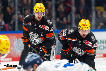 PP2 - Löwen Frankfurt - Straubing Tigers - 11.3.25 - 047