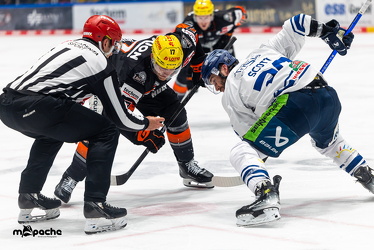 PP2 - Löwen Frankfurt - Straubing Tigers - 11.3.25 - 050