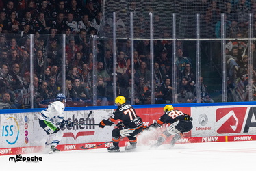 PP2 - Löwen Frankfurt - Straubing Tigers - 11.3.25 - 054