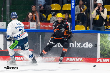 PP2 - Löwen Frankfurt - Straubing Tigers - 11.3.25 - 057