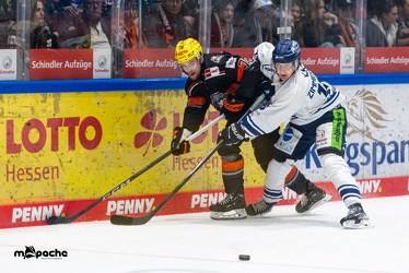 PP2 - Löwen Frankfurt - Straubing Tigers - 11.3.25 - 058