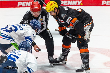 PP2 - Löwen Frankfurt - Straubing Tigers - 11.3.25 - 062