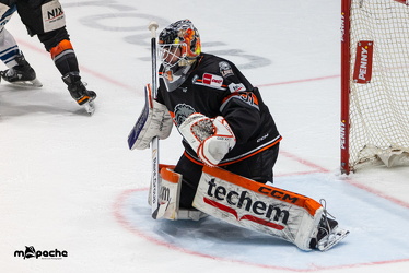 PP2 - Löwen Frankfurt - Straubing Tigers - 11.3.25 - 063