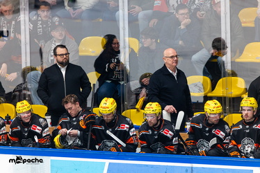 PP2 - Löwen Frankfurt - Straubing Tigers - 11.3.25 - 075