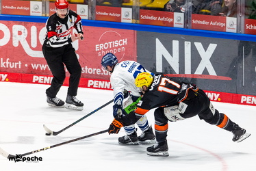 PP2 - Löwen Frankfurt - Straubing Tigers - 11.3.25 - 076