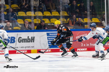 PP2 - Löwen Frankfurt - Straubing Tigers - 11.3.25 - 081
