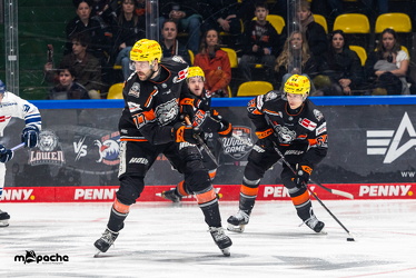 PP2 - Löwen Frankfurt - Straubing Tigers - 11.3.25 - 083