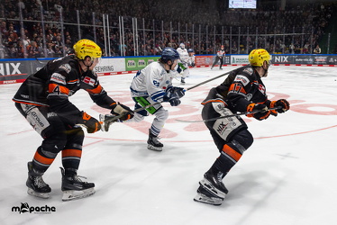 PP2 - Löwen Frankfurt - Straubing Tigers - 11.3.25 - 084