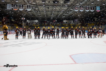 PP2 - Löwen Frankfurt - Straubing Tigers - 11.3.25 - 101