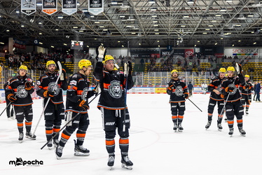 PP2 - Löwen Frankfurt - Straubing Tigers - 11.3.25 - 106