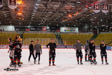 PP2 - Löwen Frankfurt - Straubing Tigers - 11.3.25 - 113