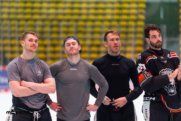PP2 - Löwen Frankfurt - Straubing Tigers - 11.3.25 - 115