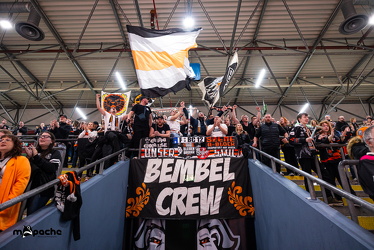 PP2 - Löwen Frankfurt - Straubing Tigers - 11.3.25 - 119