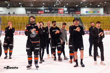 PP2 - Löwen Frankfurt - Straubing Tigers - 11.3.25 - 125