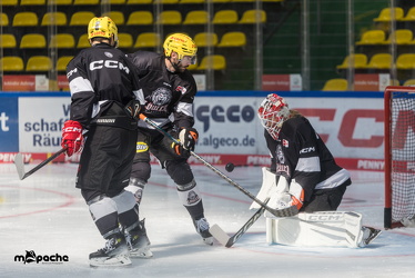 Löwen Frankfurt - Training - 051