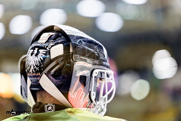 Löwen Frankfurt - Dresdner Eislöwen - 18.9.25 - 001