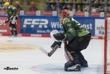 Löwen Frankfurt - Dresdner Eislöwen - 18.9.25 - 002