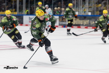 Löwen Frankfurt - Dresdner Eislöwen - 18.9.25 - 004