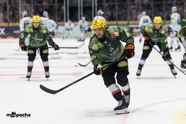 Löwen Frankfurt - Dresdner Eislöwen - 18.9.25 - 007