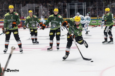 Löwen Frankfurt - Dresdner Eislöwen - 18.9.25 - 008