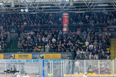 Löwen Frankfurt - Dresdner Eislöwen - 18.9.25 - 016