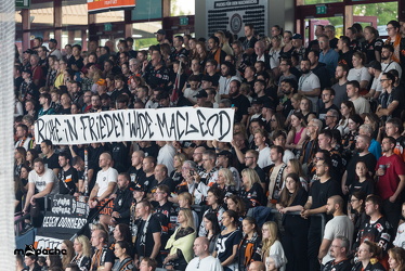 Löwen Frankfurt - Dresdner Eislöwen - 18.9.25 - 017