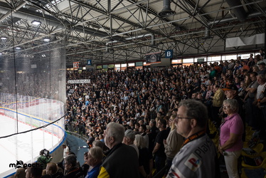 Löwen Frankfurt - Dresdner Eislöwen - 18.9.25 - 018