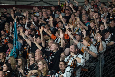 Löwen Frankfurt - Dresdner Eislöwen - 18.9.25 - 019