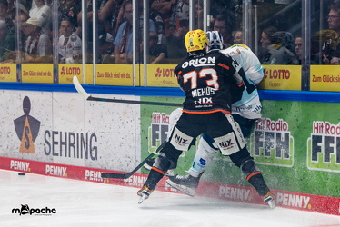 Löwen Frankfurt - Dresdner Eislöwen - 18.9.25 - 020