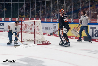 Löwen Frankfurt - Dresdner Eislöwen - 18.9.25 - 025