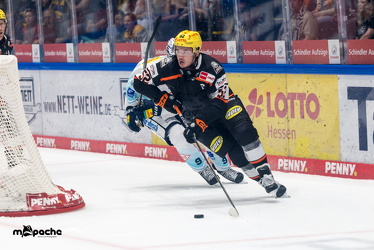 Löwen Frankfurt - Dresdner Eislöwen - 18.9.25 - 028