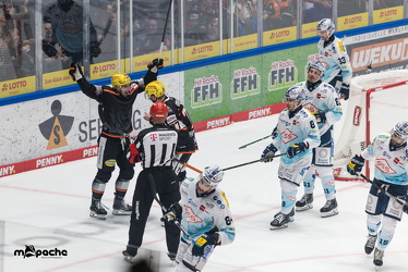 Löwen Frankfurt - Dresdner Eislöwen - 18.9.25 - 035