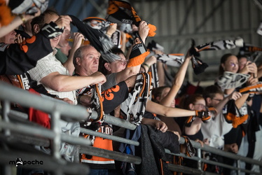 Löwen Frankfurt - Dresdner Eislöwen - 18.9.25 - 036