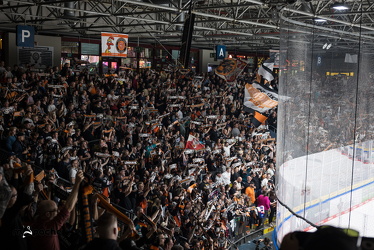Löwen Frankfurt - Dresdner Eislöwen - 18.9.25 - 040