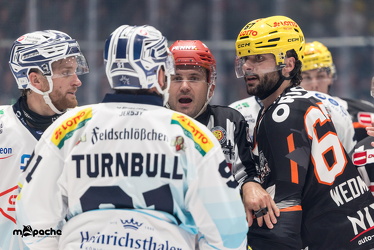 Löwen Frankfurt - Dresdner Eislöwen - 18.9.25 - 041