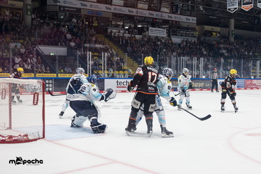 Löwen Frankfurt - Dresdner Eislöwen - 18.9.25 - 042